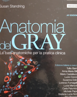 Anatomia del GRAY 40a edizione Volume n.1