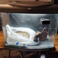 Acquario Panoramico Completo NANOEXTREME