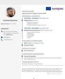 Tintore spazzolatore