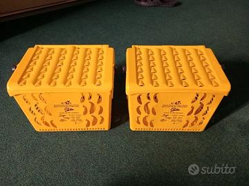 Cestelli per raccolta umido.