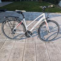 Bicicletta Olympia Speedium