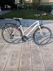 Bicicletta Olympia Speedium