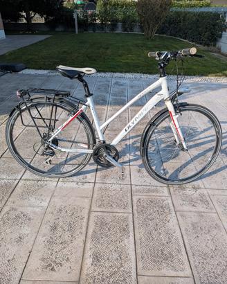 Bicicletta Olympia Speedium