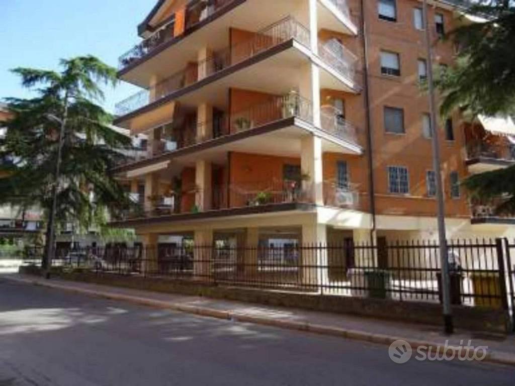 Appartamento – San Severo, Foggia - Vista 3