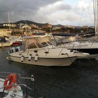 Red Tuna 29 | 2 x 250hp Honda 2017