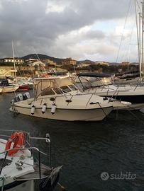 Red Tuna 29 | 2 x 250hp Honda 2017