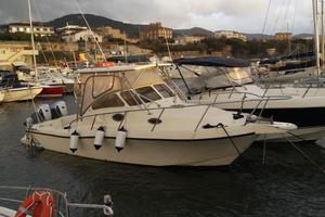 Red Tuna 29 | 2 x 250hp Honda 2017