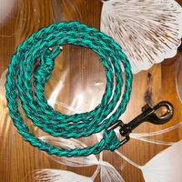 Lunghina per cavalli