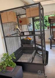 Voliera per pappagalli medi/gradi