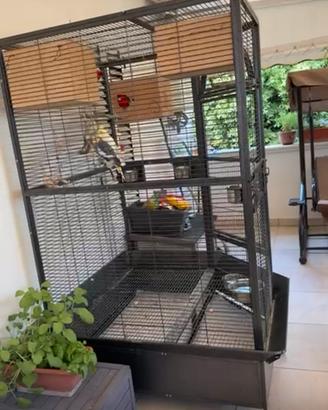 Voliera per pappagalli medi/gradi