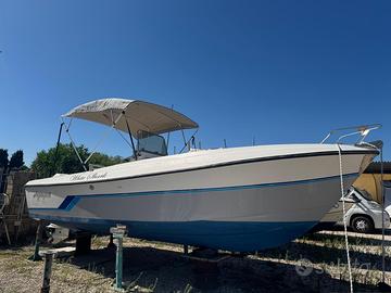 Barca Aquasport U.S.A. con Evinrude E Tec