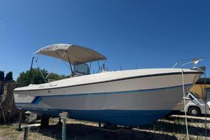 Barca Aquasport U.S.A. con Evinrude E Tec