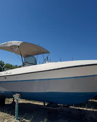 Barca Aquasport U.S.A. con Evinrude E Tec