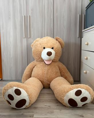 Orso peluche