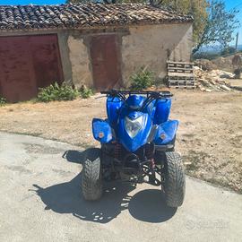 quad Kymco kxr 250