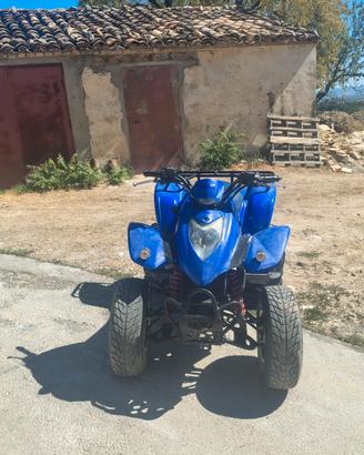 quad Kymco kxr 250