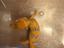 Immagine 1