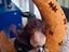 Immagine 1