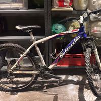 BOTTECCHIA FX 520