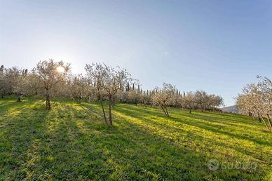 Terreno di 1800 m² a Carmignano