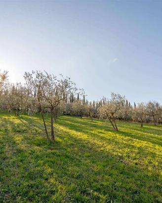 Terreno di 1800 m² a Carmignano