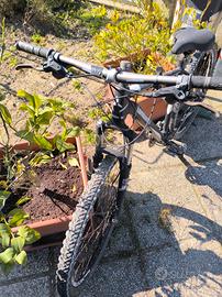 Mountain bike Lombardo