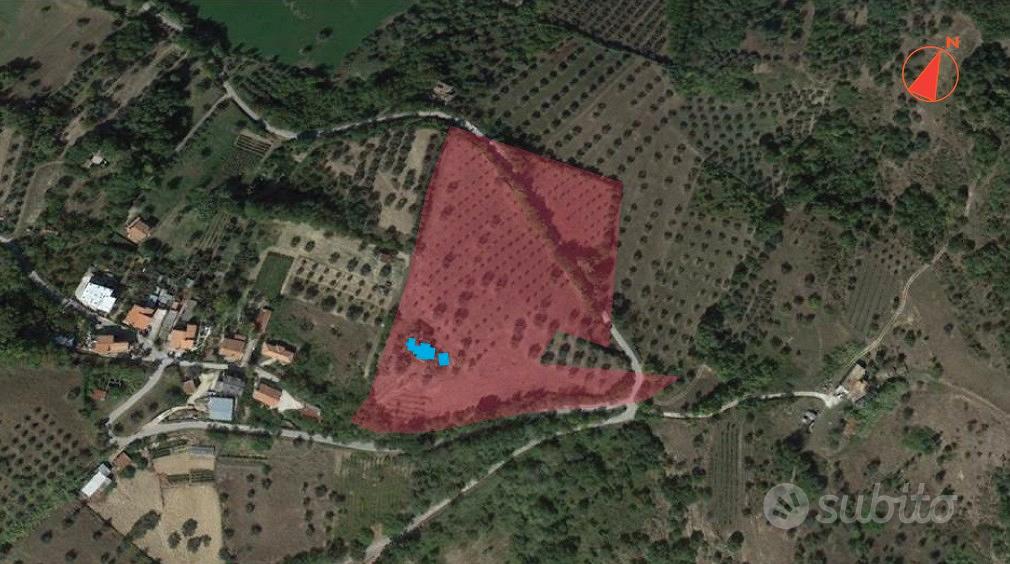 Terreno uliveto edificabile con rustico - Altro