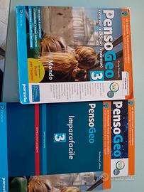 Penso Geo 3