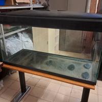 Acquario vasca 150 litri