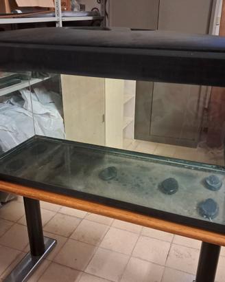 Acquario vasca 150 litri