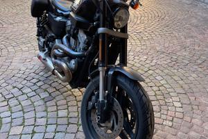 Harley-Davidson XR 1200 - 2008