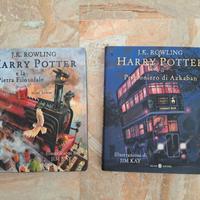 Harry Potter illustrato da Jim Kay