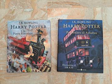 Harry Potter illustrato da Jim Kay