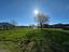 Immagine 19