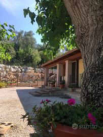 Agriturismo Il Monticchio