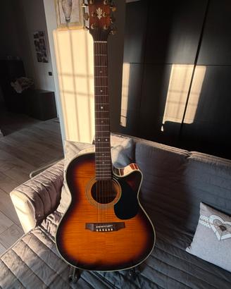 Ibanez AE 25 TS