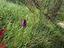 Immagine 26