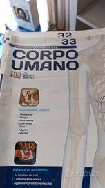 `Videoenciclopedia Corpo Umano BBC - 30 DVD + Fasc