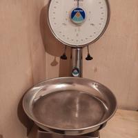 Bilancia professionale 