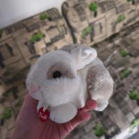 trudi coniglio cucciolo 