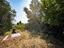 Immagine 27