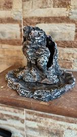 ishizuki collezione bonsai 