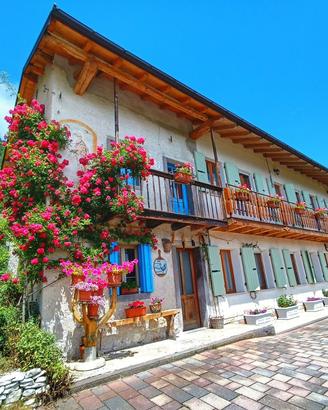 Casa nella Natura Il Risveglio degli Elfi