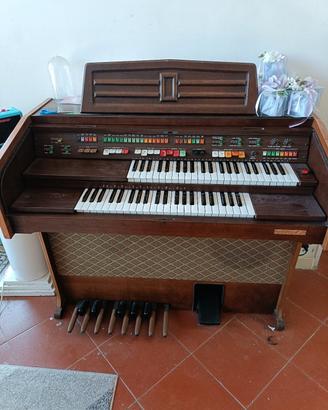 organetto