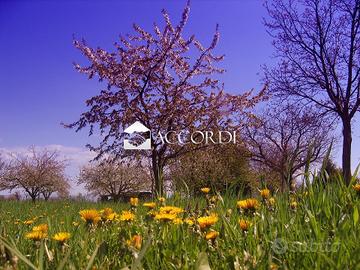 Rif.GA3_4| area edificabile san pietro di feletto