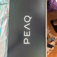 Schermo PC marca PEAQ di 24 pollici