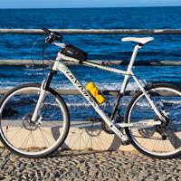Mtb Olympia 26 