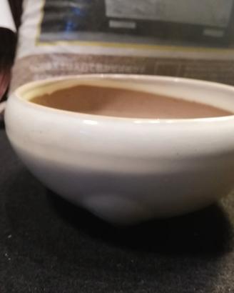 Vaso per bonsai rotondo