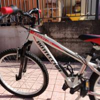 Bici bambino Bottecchia Adventure HC9 Racing HT24