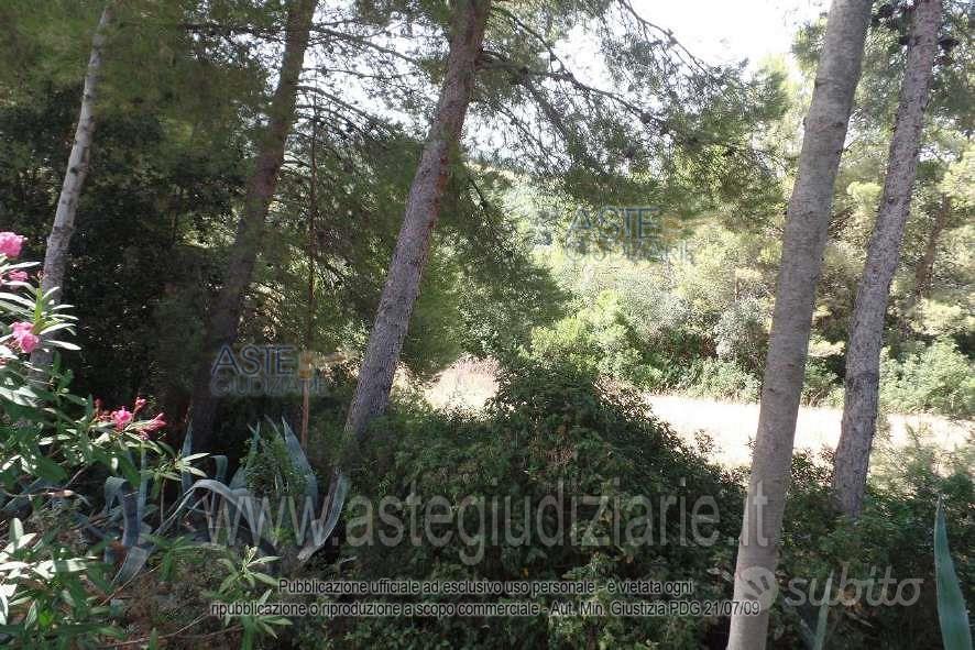 Terreno Agricolo San Vincenzo [A4359763] - Vista 4